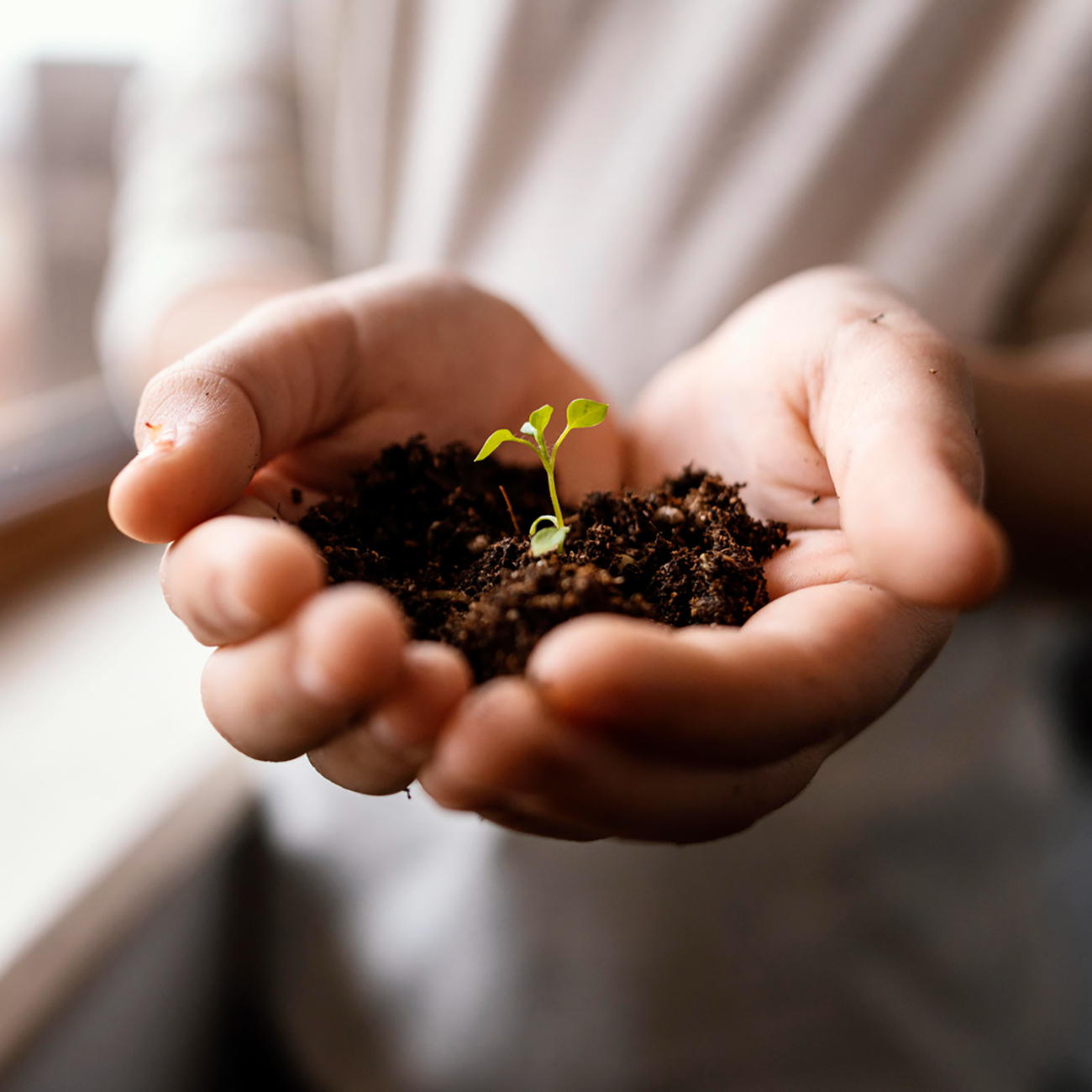 Agriculture Loan